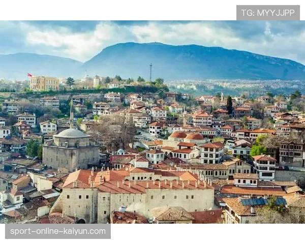 印第安纳狂热续约阿莉娅·波士顿4年630万美元，确立球队未来基石